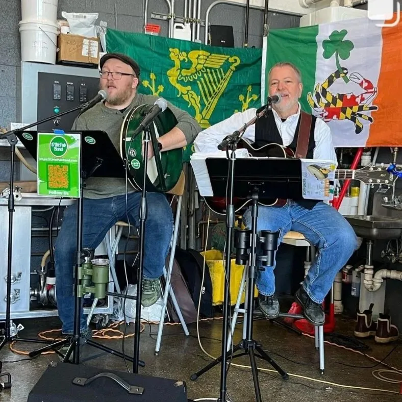 O'McFells Irish Duo